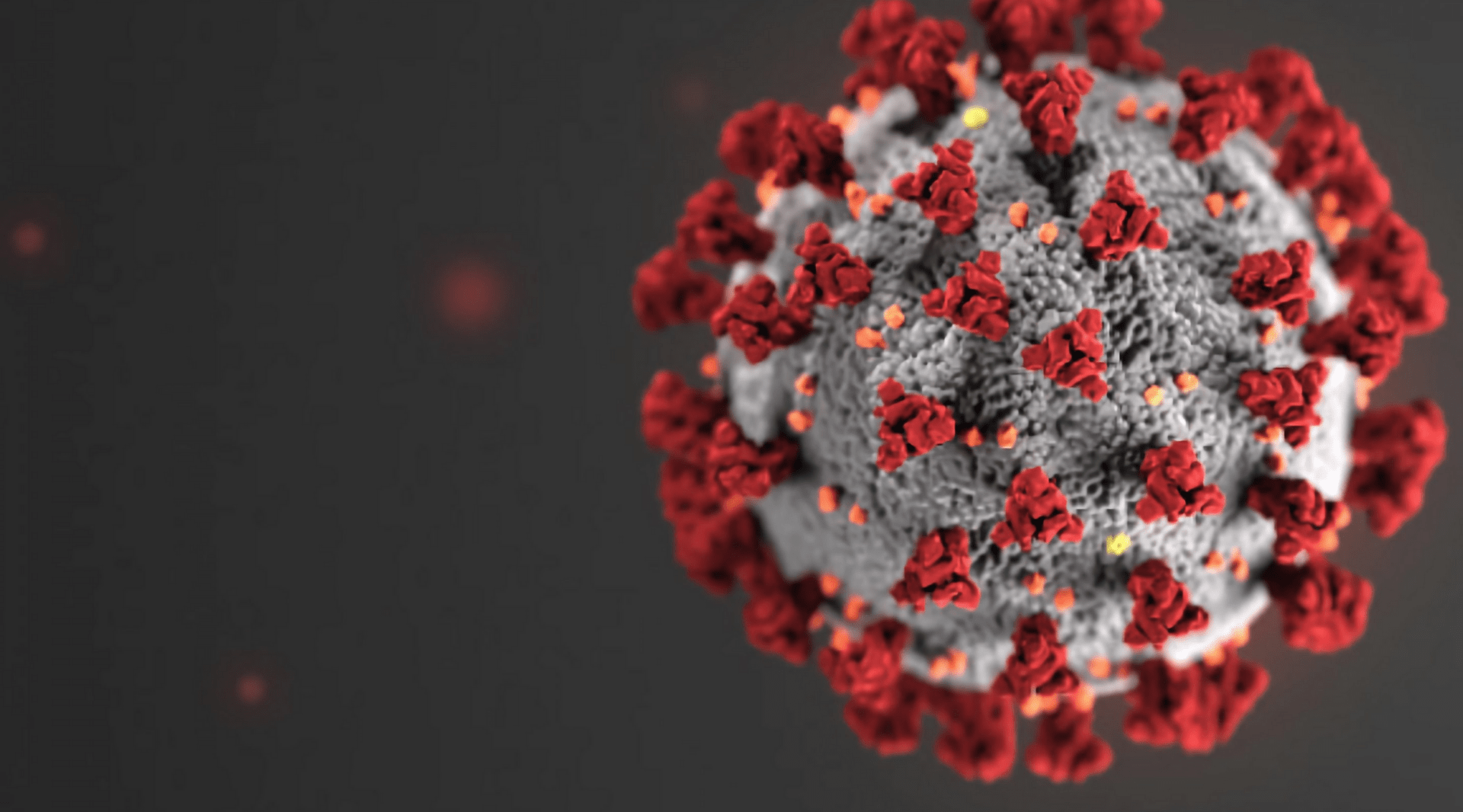 MV disponibiliza tecnologias em apoio ao combate do coronavírus